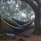 Review photo of Live Oak Campground — Mount Diablo State Park Campground by Asher K., June 29, 2016