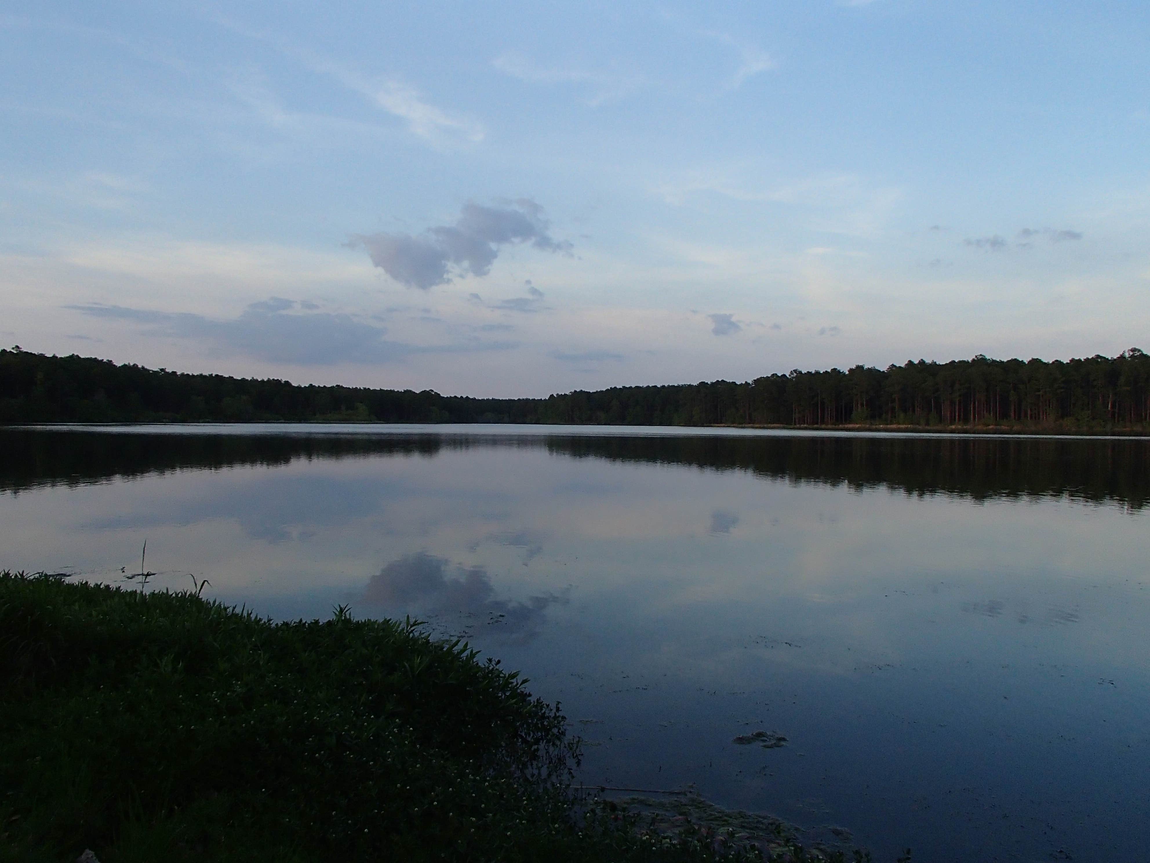 Camper submitted image from Bear Lake Campground - 4