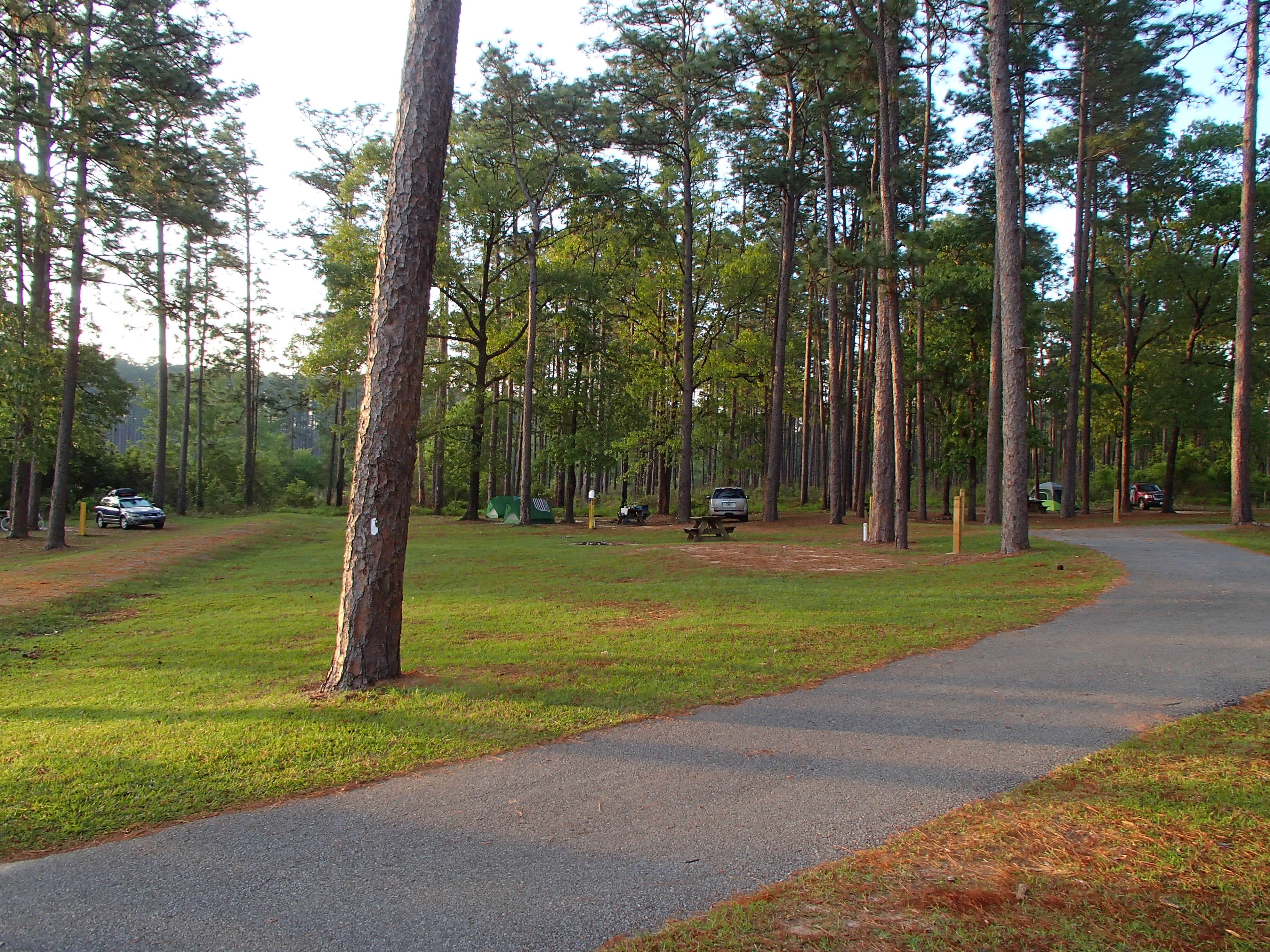 Bear store lake campground
