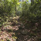 Review photo of Bear Lake Campground by Dave V., August 29, 2017
