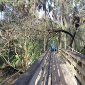 Review photo of Hillsborough River State Park Campground by Jackie T., January 19, 2020