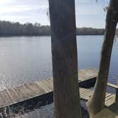 Review photo of Suwannee River Hideaway Campground by Jackie T., January 19, 2020