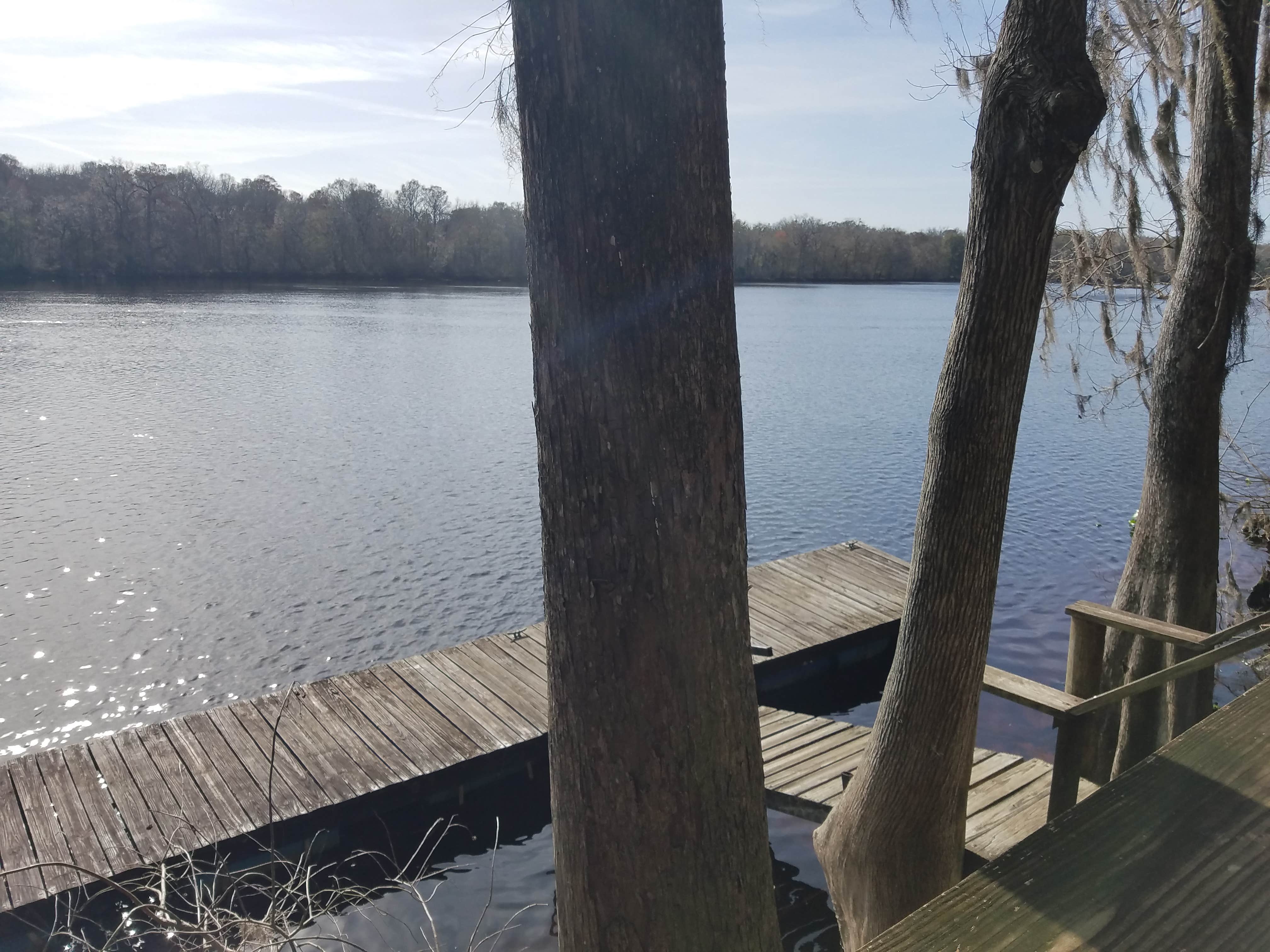 Camper submitted image from Suwannee River Hideaway Campground - 3