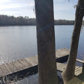 Review photo of Suwannee River Hideaway Campground by Jackie T., January 19, 2020