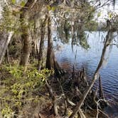 Review photo of Suwannee River Hideaway Campground by Jackie T., January 19, 2020