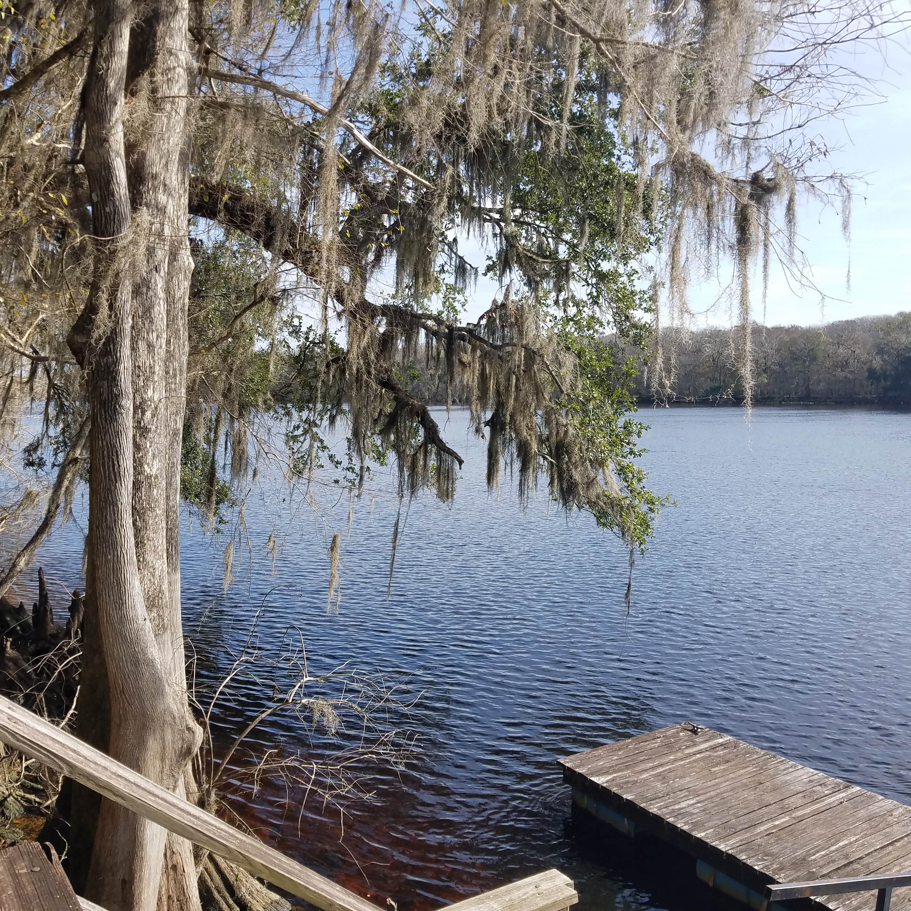 Escape to the Enchanting Suwannee River: A Hideaway for Adventure and Relaxation