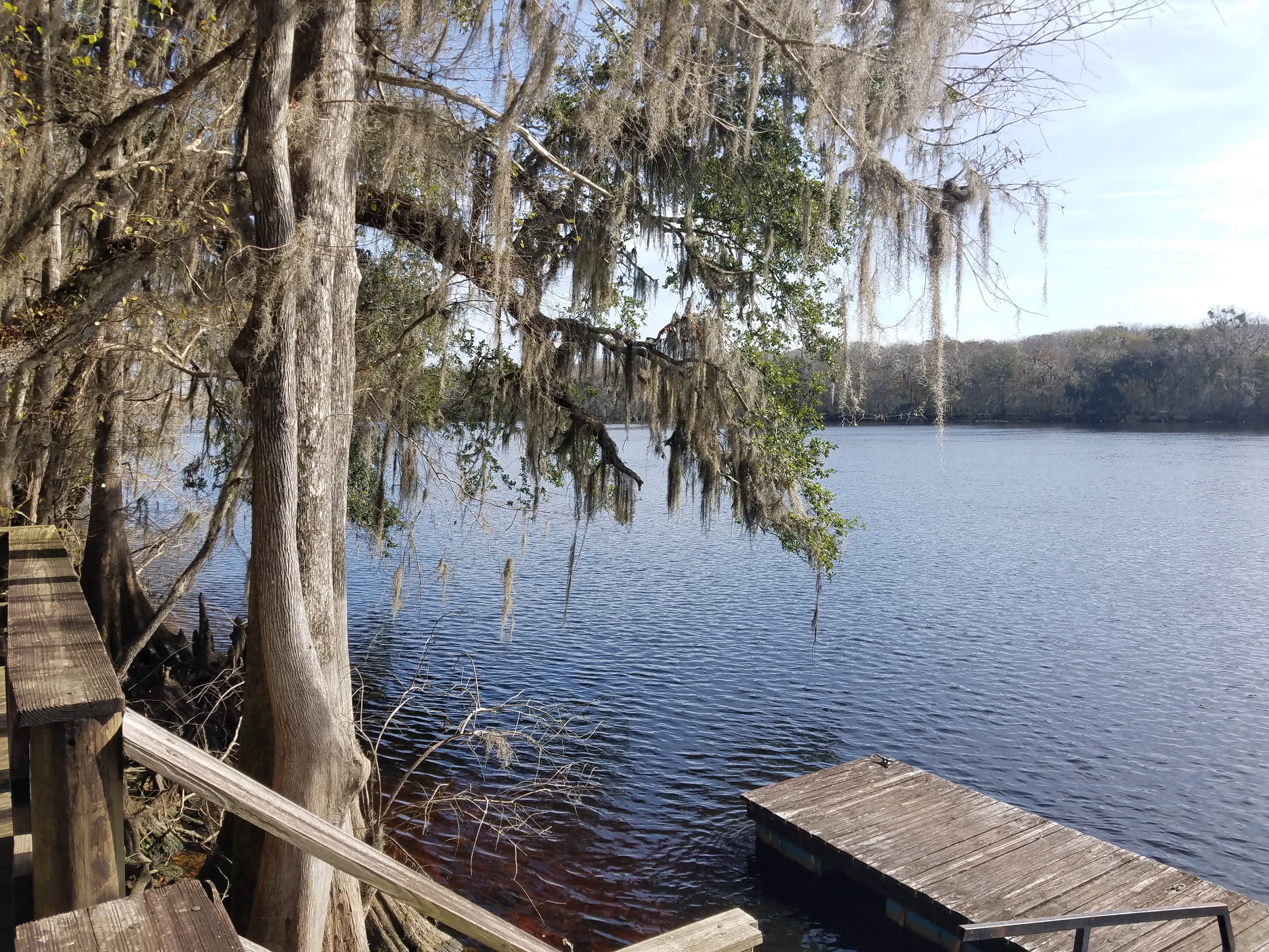 Camper submitted image from Suwannee River Hideaway Campground - 4