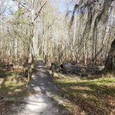 Review photo of Suwannee River Hideaway Campground by Jackie T., January 19, 2020