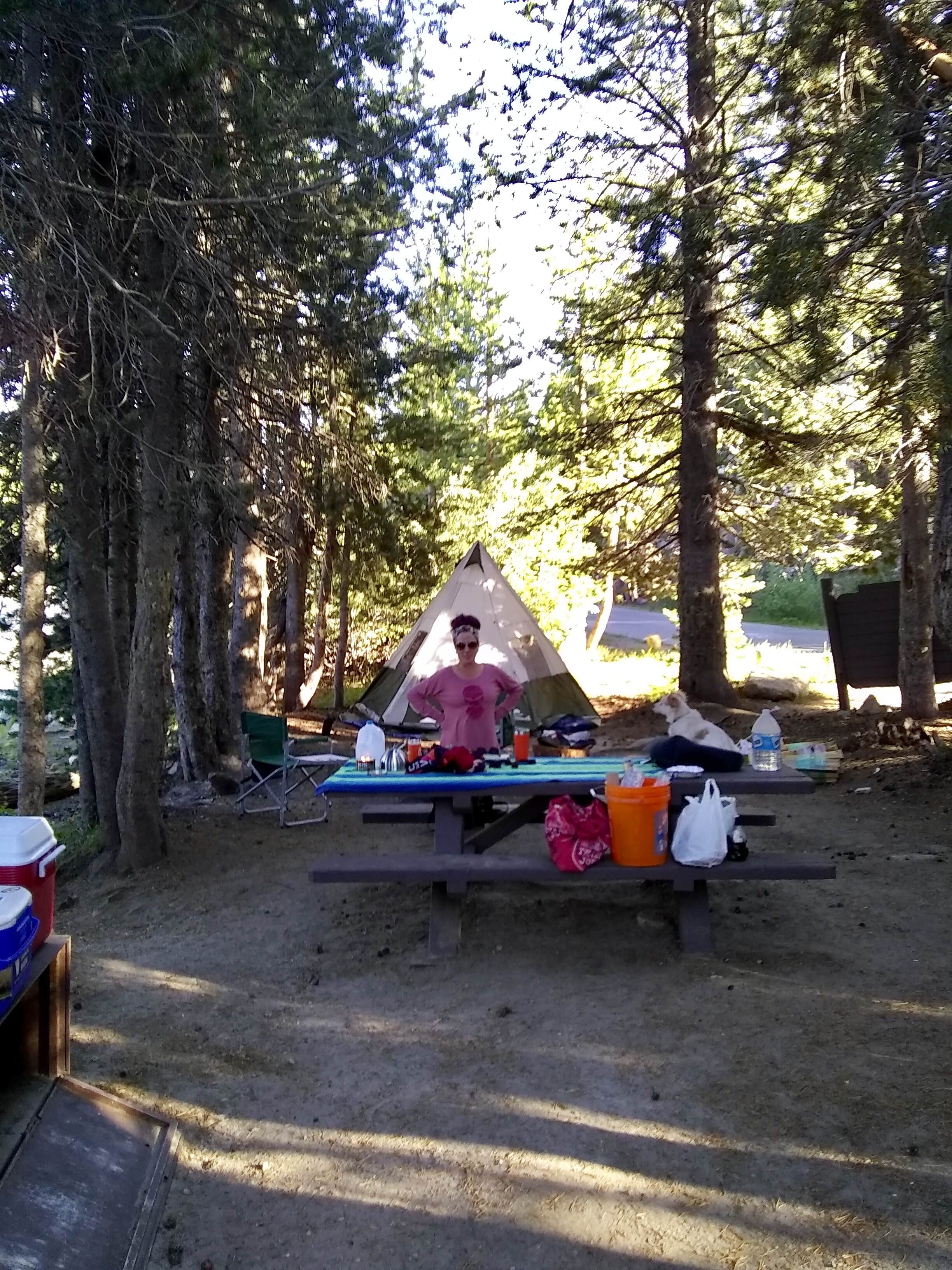 Patrick H.'s photo at Marmot Rock Campground near Sierra National Forest