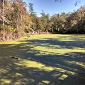 Review photo of Dogwood Campground — O'Leno State Park by Rachel G., January 20, 2020