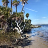 Review photo of Tomoka State Park Campground by Rachel G., January 20, 2020