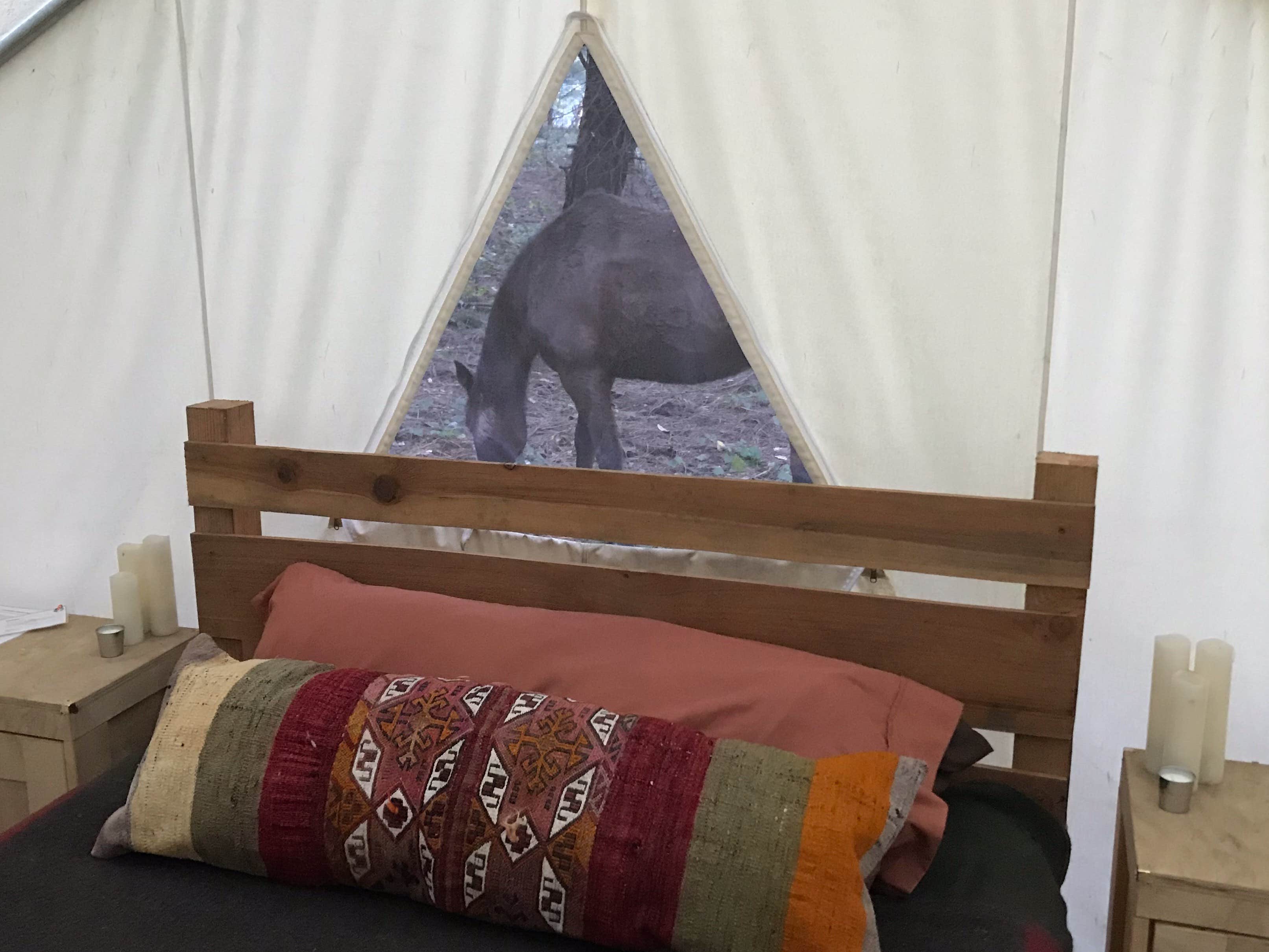 The Dyrt's photo of glamping accommodations at Artemis near New Almaden, CA