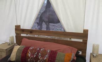 The Dyrt's photo of glamping accommodations at Artemis near Seaside, CA