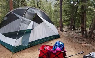K R.'s photo of tent camping at Staunton State Park Campground near Gateway, CO