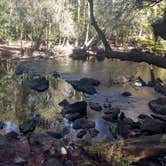 Review photo of Dogwood Campground — O'Leno State Park by Rachel G., January 20, 2020