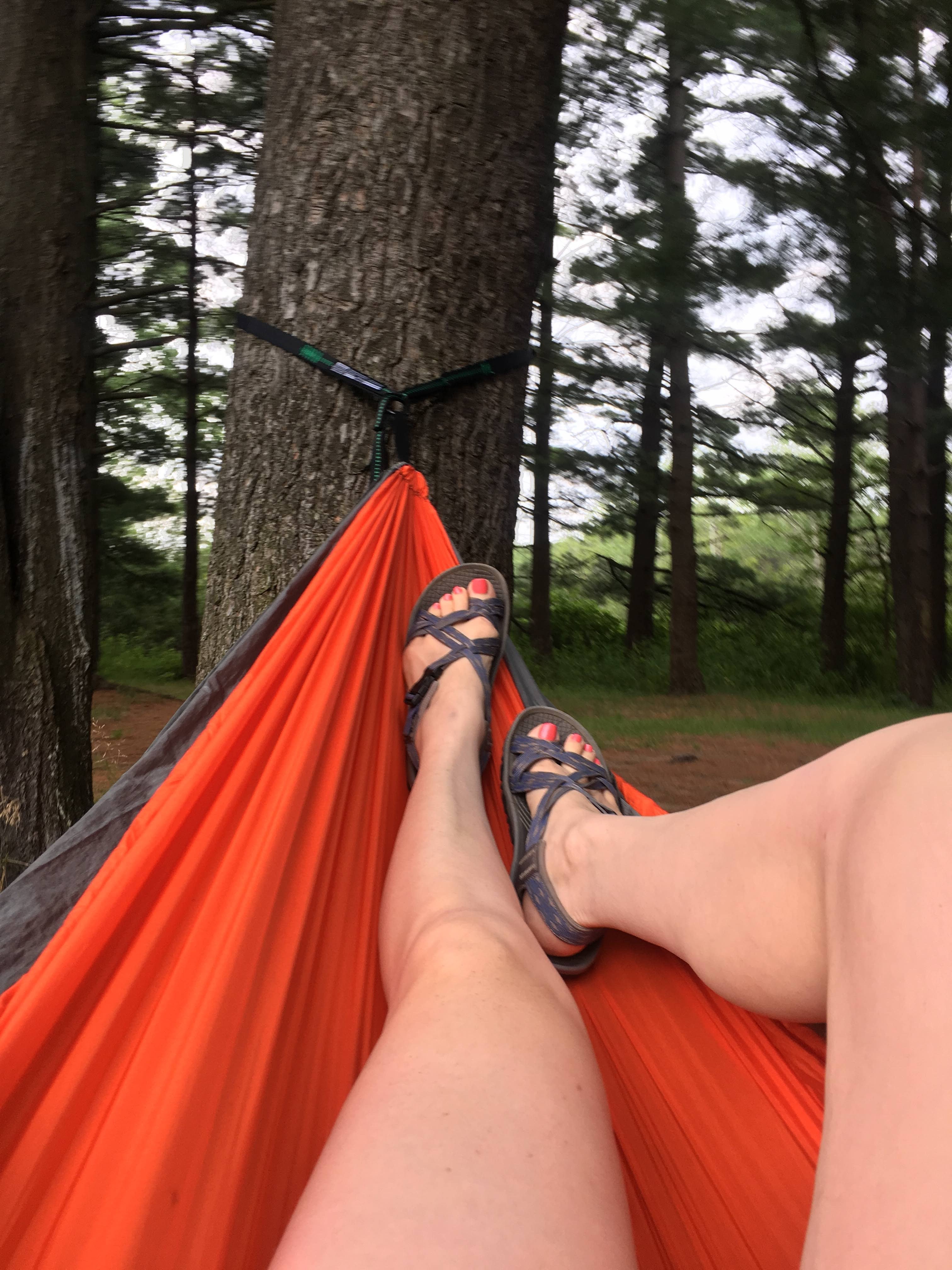 This is my favorite site, so many trees for great hammock hanging!