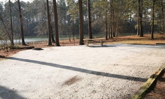 Camping near The Point at Lake Hartwell: Coneross Park Campground, Townville, South Carolina