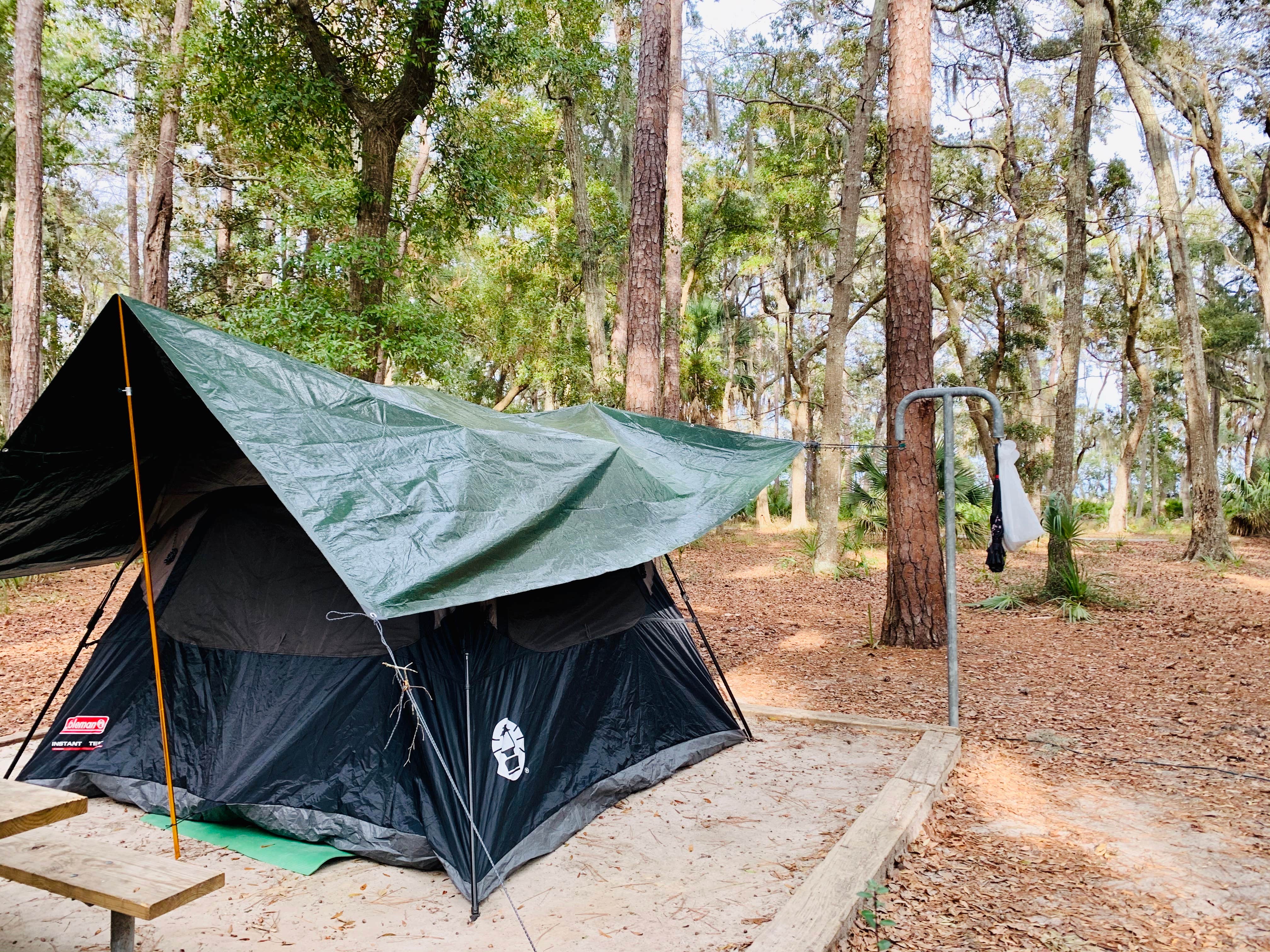 Susan J.'s photo at Fort McAllister State Park Campground near Rincon, GA