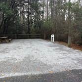 Review photo of Blackwater River State Park Campground by Rachel G., January 22, 2020