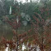 Review photo of Blackwater River State Park Campground by Rachel G., January 22, 2020