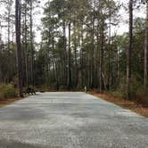 Review photo of Blackwater River State Park Campground by Rachel G., January 22, 2020