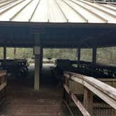 Review photo of Blackwater River State Park Campground by Rachel G., January 22, 2020