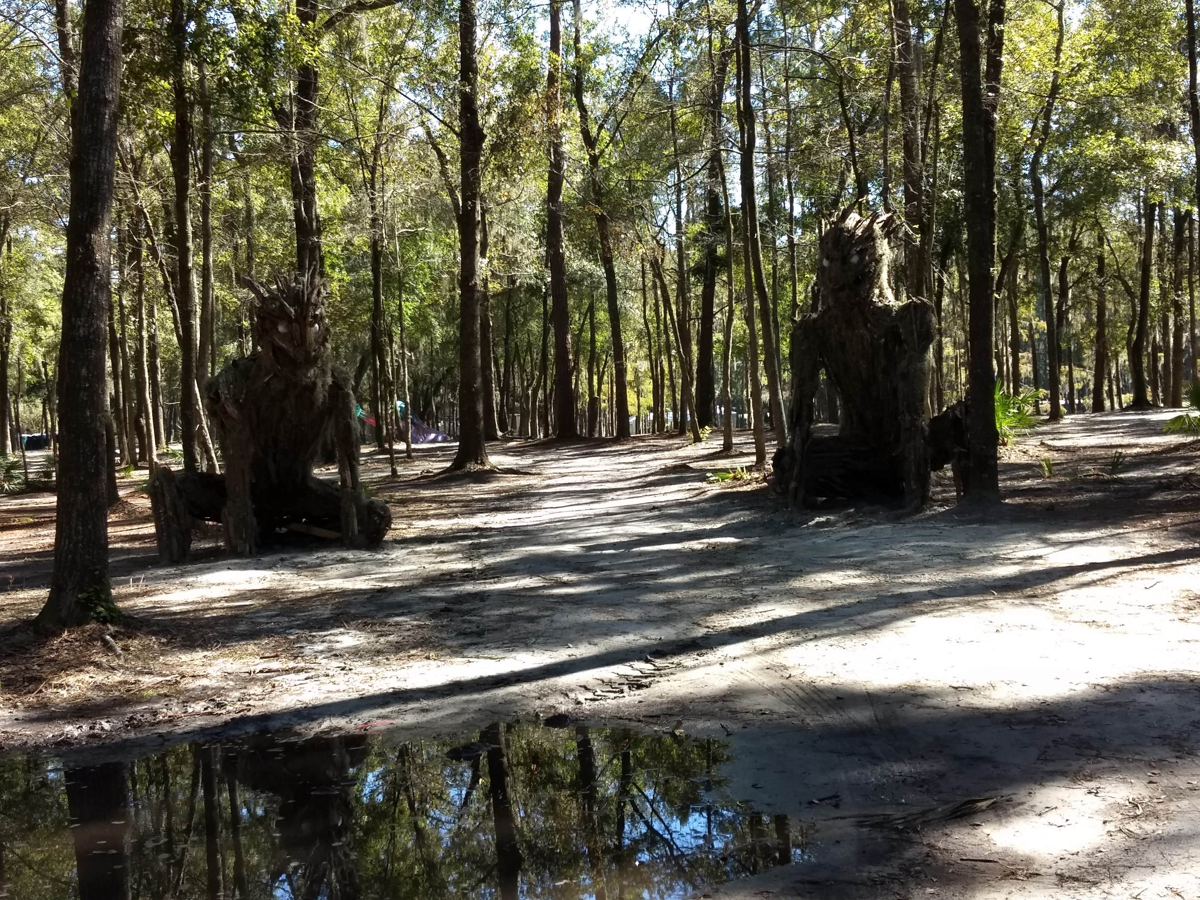 Wood sculptures