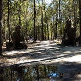 Review photo of Spirit of the Suwannee Music Park & Campground by Rachel G., January 22, 2020