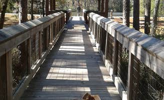 Rachel G.'s photo of camping with pets at Falling Waters State Park Campground near Panama City, FL