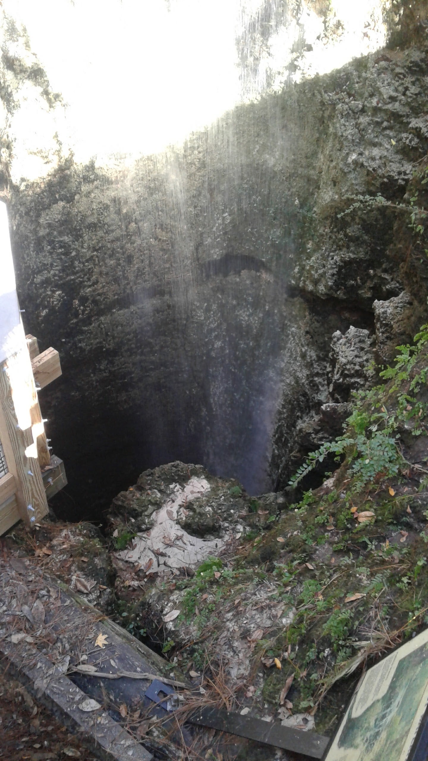 View into sinkhole