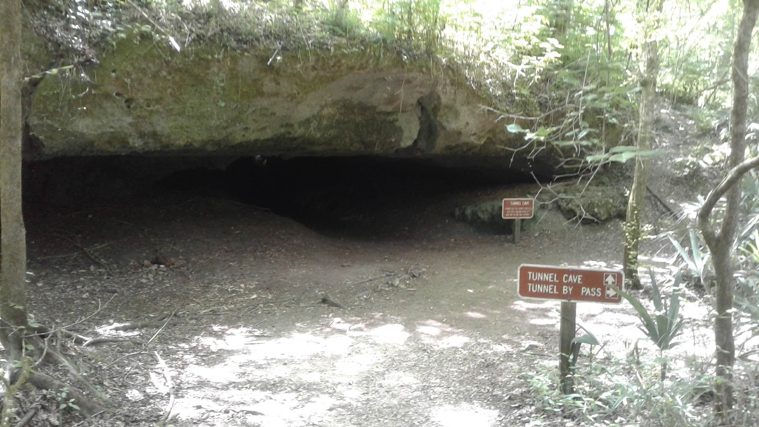 Part of the hiking trail