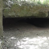 Review photo of Blue Hole Campground — Florida Caverns State Park by Rachel G., January 23, 2020