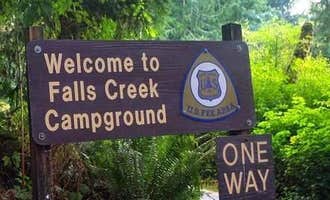 Camping near Coho Campground: Falls Creek Campground, Quinault, Washington