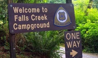 Camping near Rain Forest Resort Village: Falls Creek Campground, Quinault, Washington