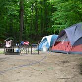 Review photo of Wandering Wheels Campground by Nancy W., August 29, 2017