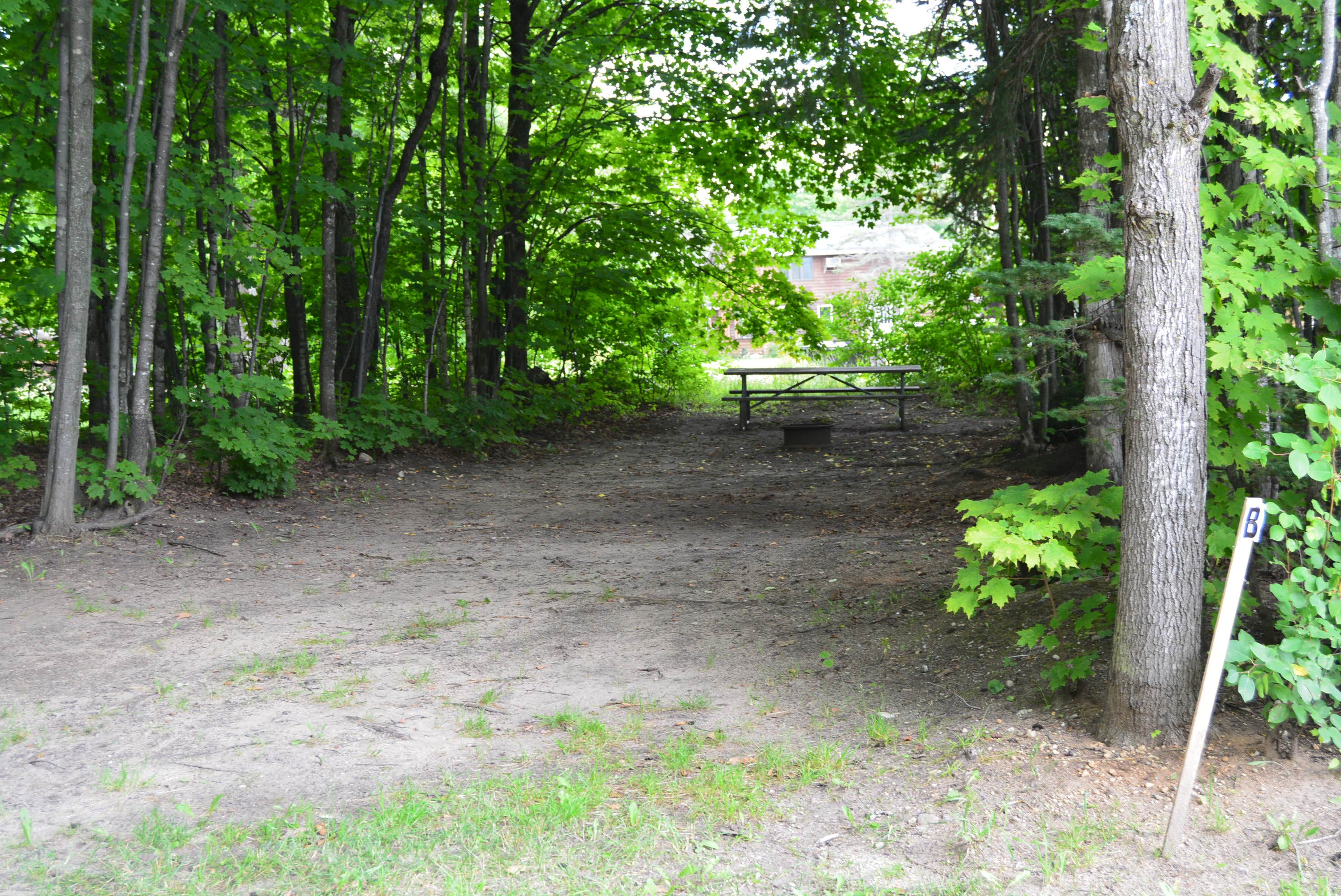 Camper submitted image from Wandering Wheels Campground - 3