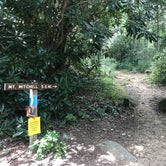 Review photo of Mount Mitchell State Park Campground by Dave V., August 29, 2017