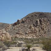 Review photo of Black Rock Campground — Joshua Tree National Park by kevin T., June 29, 2016