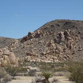 Review photo of Black Rock Equestrian Campground - Joshua Tree by kevin T., June 29, 2016