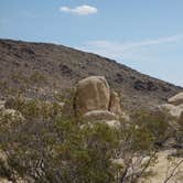 Review photo of Black Rock Campground — Joshua Tree National Park by kevin T., June 29, 2016