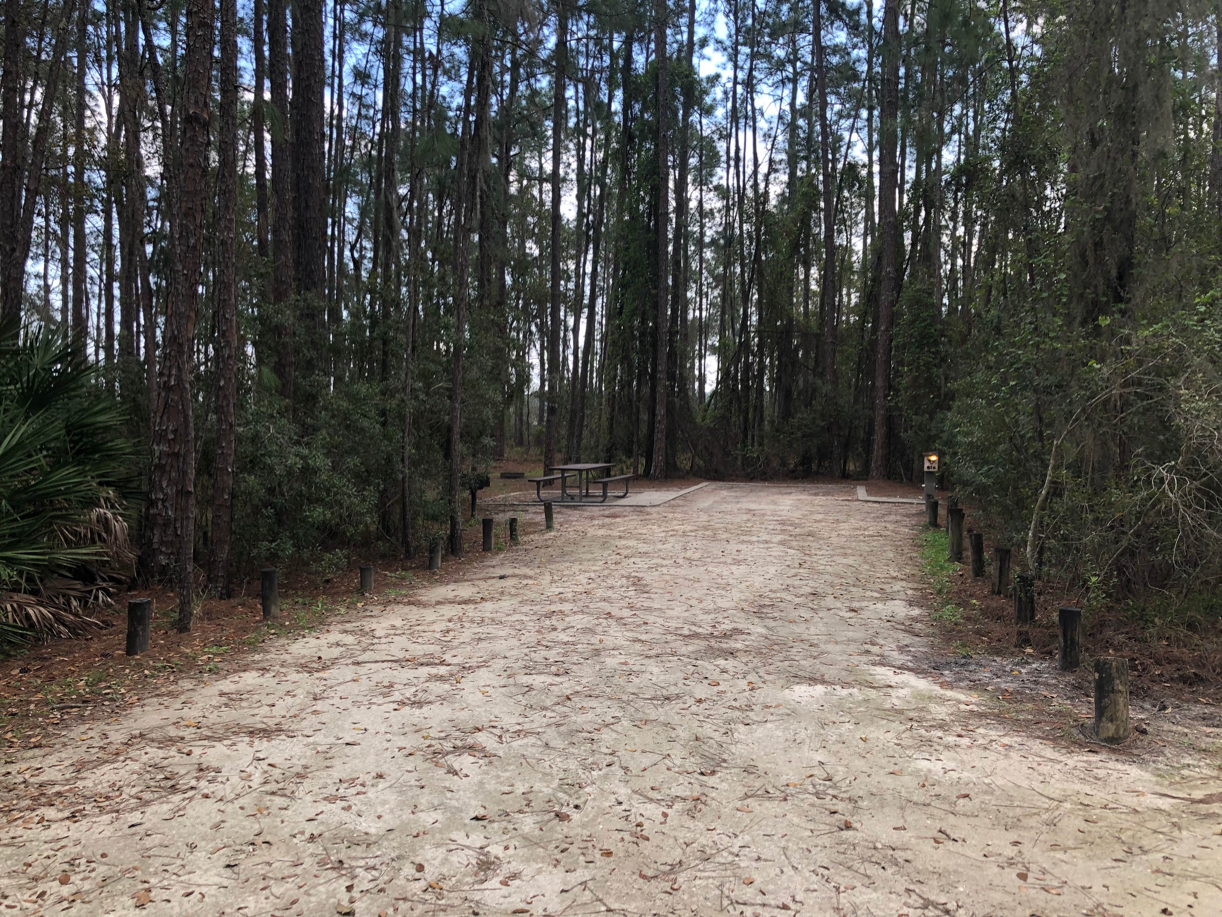 Camper submitted image from Moss Park Campground - 4