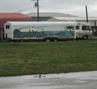Camper-submitted photo from Holly Beach RV Park