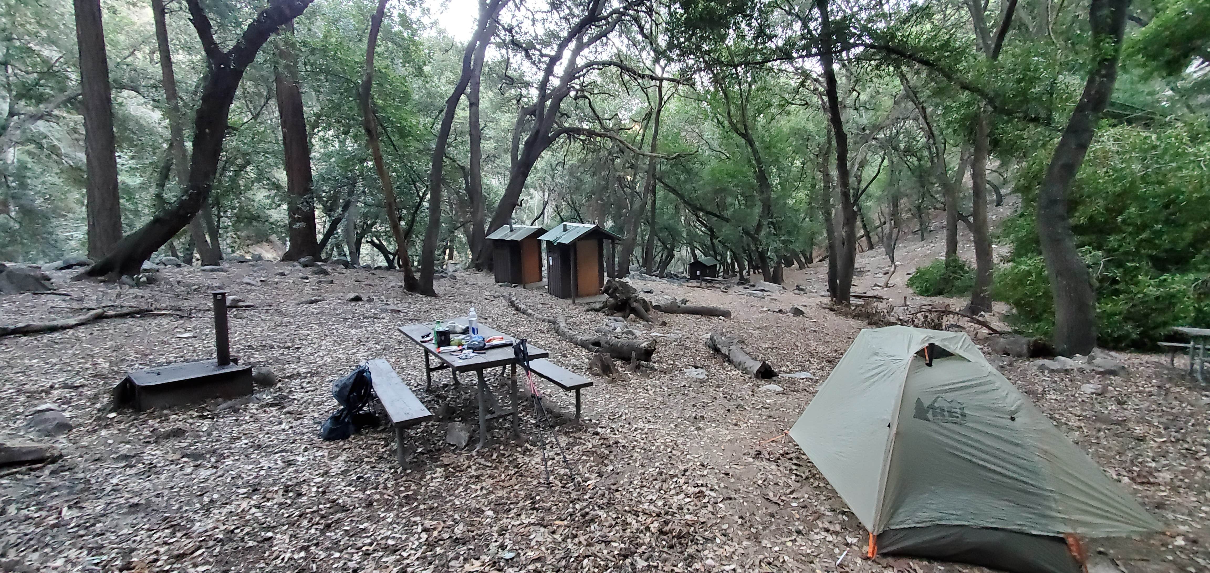 Camper submitted image from Hoegees Trail Camp Campground - 2