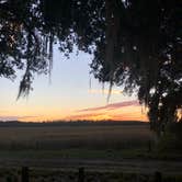 Review photo of Hopkins Prairie Campground — National Forests In Florida by Ryan A., January 25, 2020