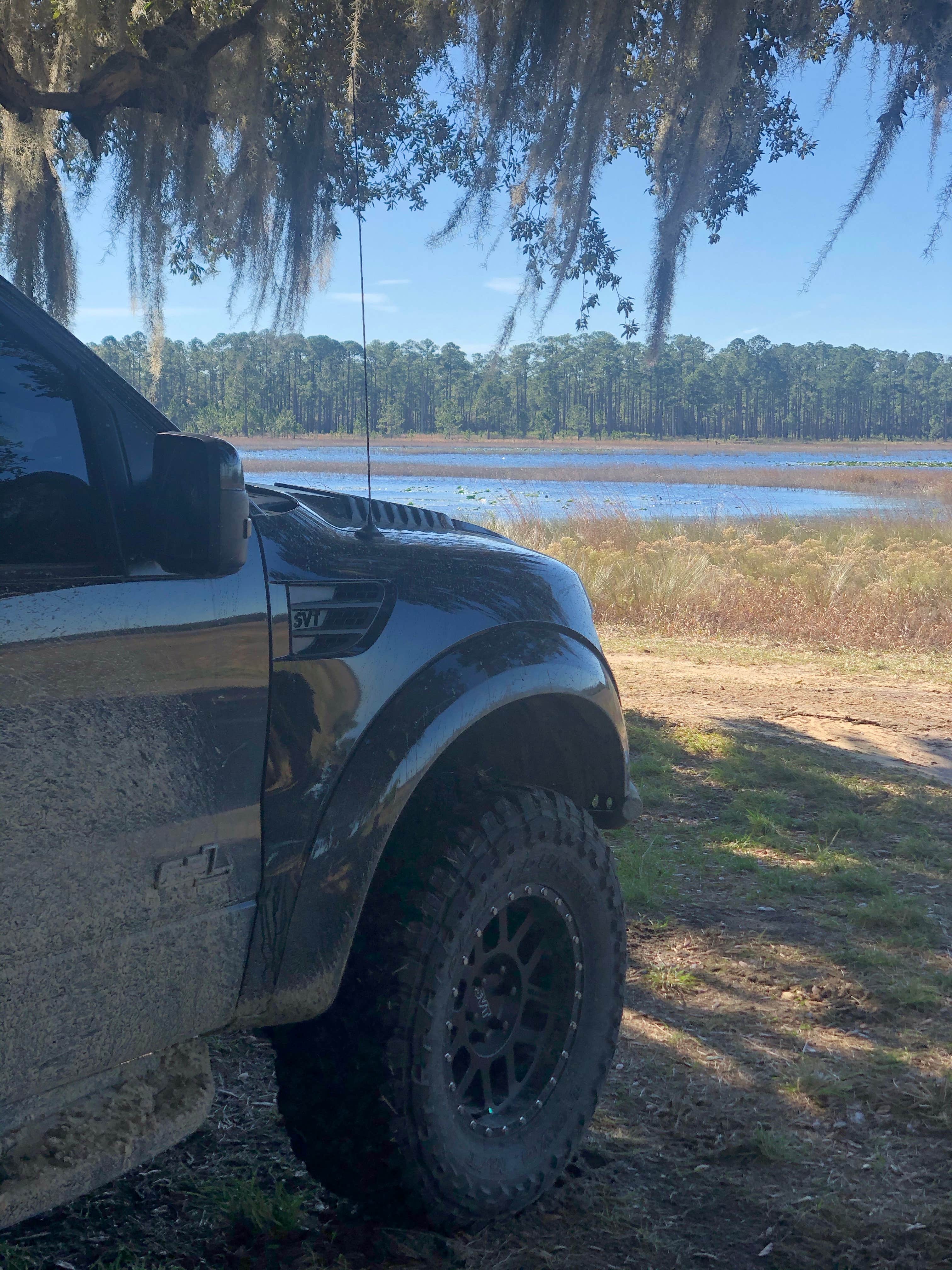 Camper-submitted photo at Hopkins Prairie Campground — National Forests In Florida near Ocala National Forest