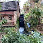 Review photo of Juniper Springs Rec Area - Tropical Camp Area by Aslynn  A., January 25, 2020