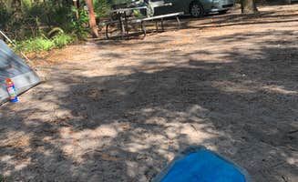 Giovanni G.'s photo at Canoe Outpost Little Manatee River near Durant, FL