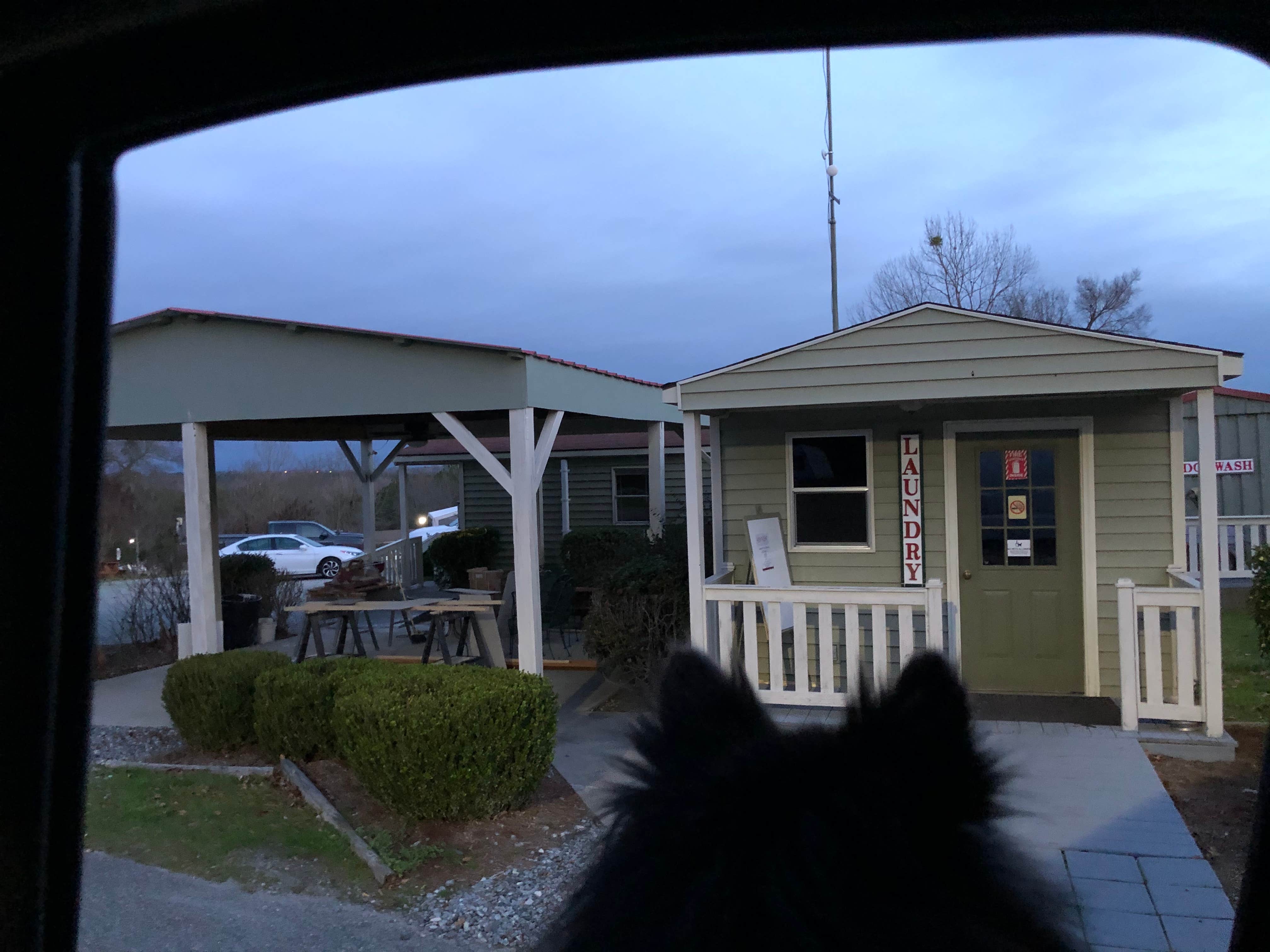 Shelly S.'s photo of camping with pets at Scenic Mountain RV Park near Warner Robins, GA
