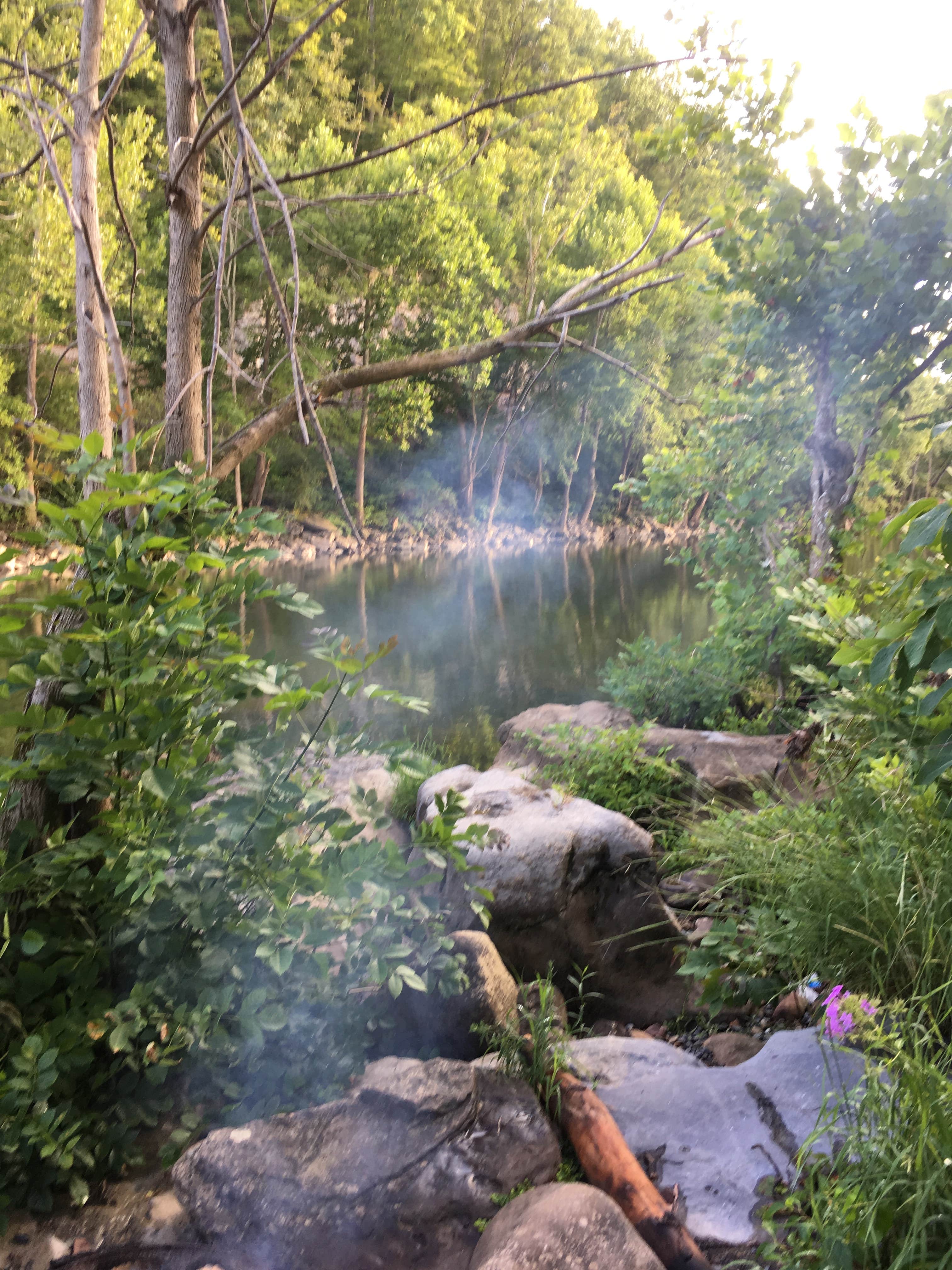 Camper submitted image from Greenbrier River Campground - 3