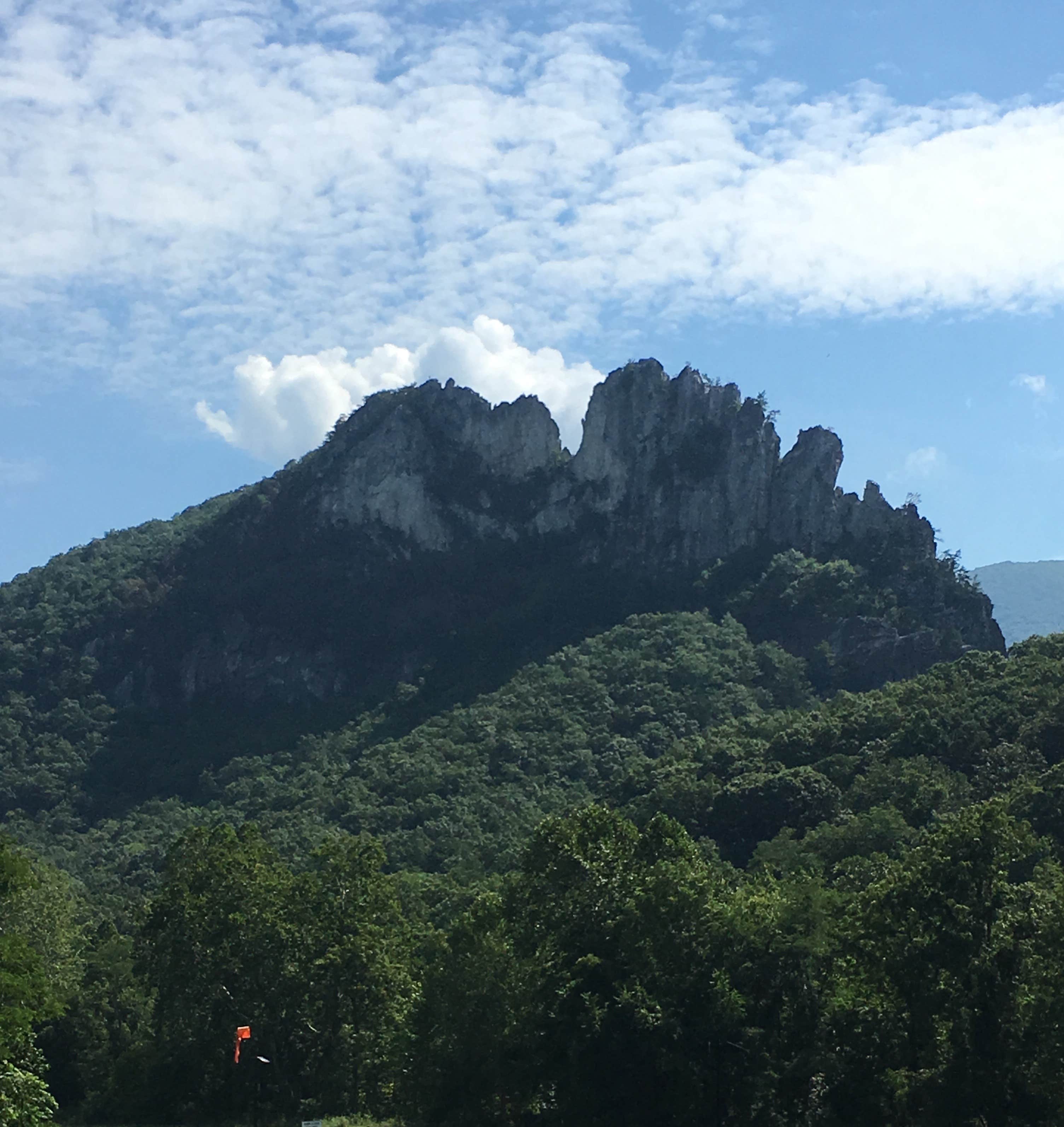Monongahela National Forest The Dyrt